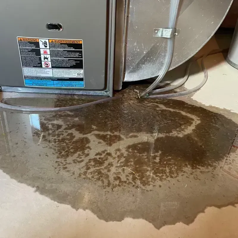 Appliance Leak Cleanup in Marshall County, AL